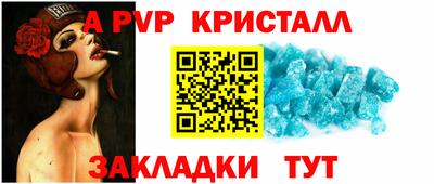 спиды Сланцы