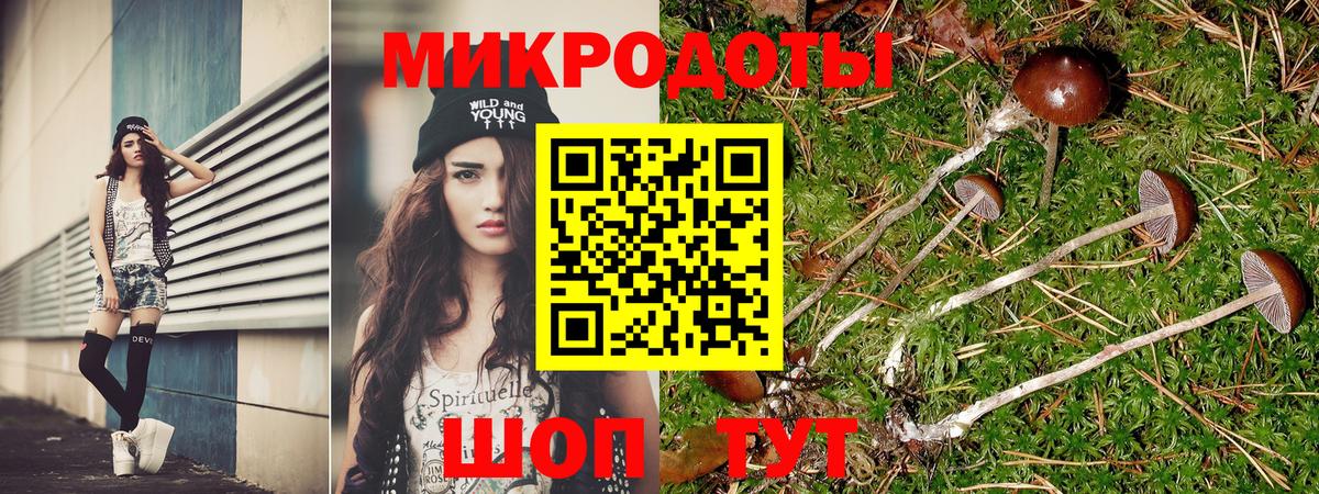 Галлюциногенные грибы мицелий Назрань